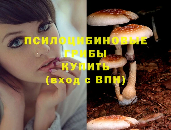 прущие крисы Абаза