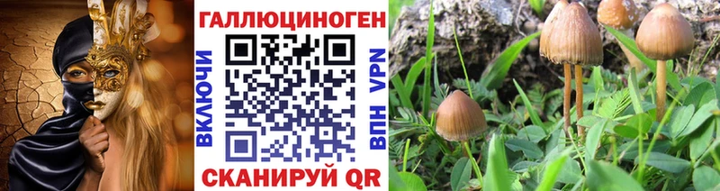 купить наркоту  blacksprut вход  Псилоцибиновые грибы MAGIC MUSHROOMS  Бугуруслан 